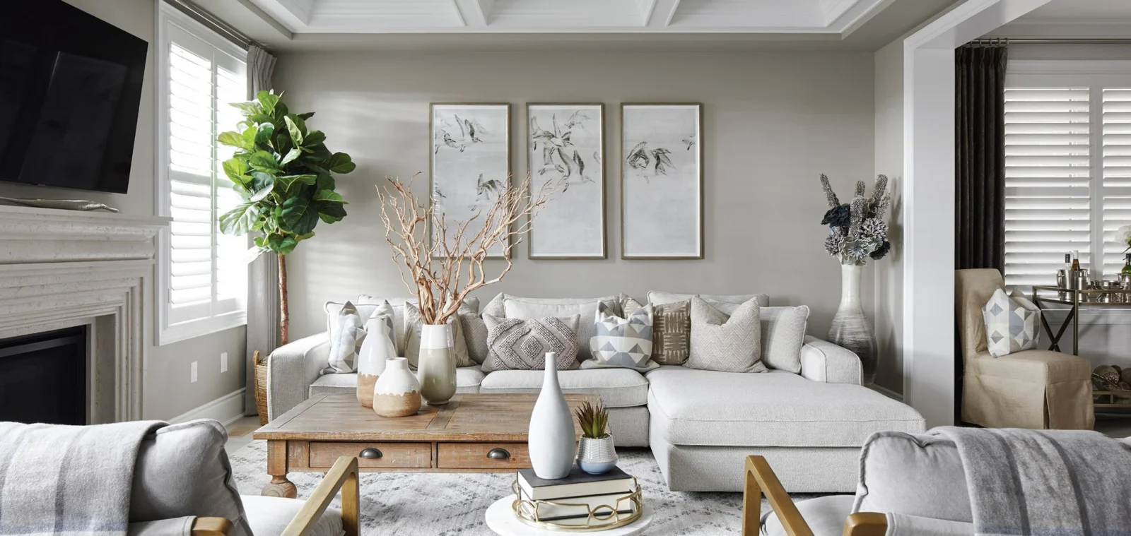 Ashburn Hills living room interior